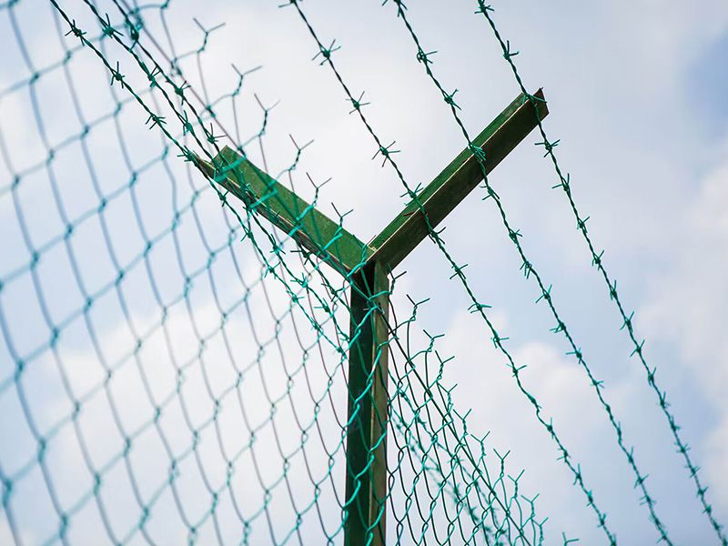 Barbed Wire