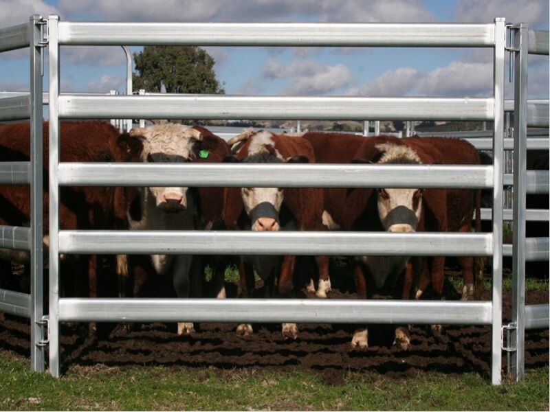 Cattle Fence Panel