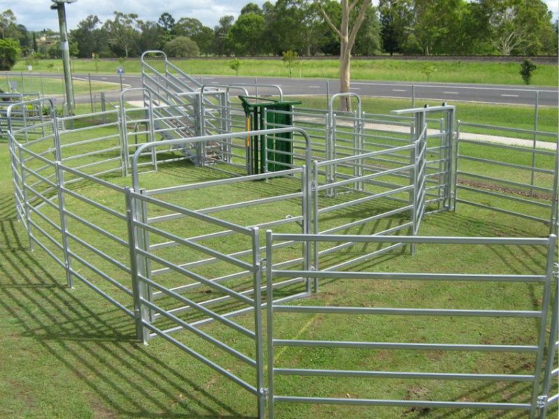 Cattle Fence Panel